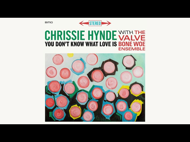 CHRISSIE HYNDE - YOU DON'T KNOW WHAT LOVE IS
