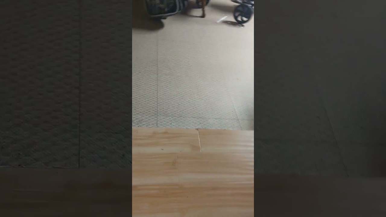 Tigger Comes In From The Rain