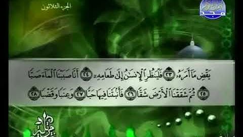 سورة عبس 80 - 114  توفيق الصائغ - قراءة مرتلة