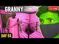 Granny Live Gaming Day 53 | Granny Game Horror Escape | BGM Royal Gaming