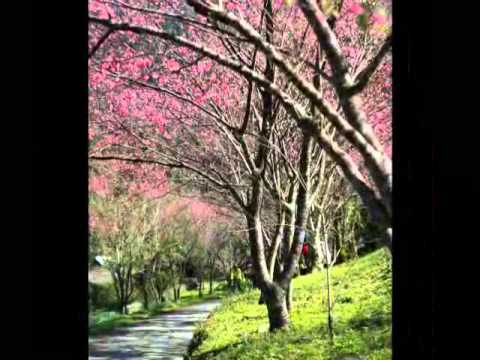 20100131桶後