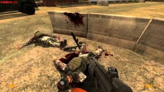 Black Mesa Weapon Bug