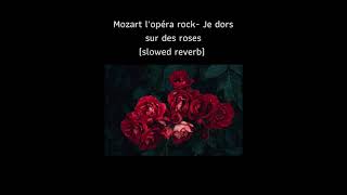Mozart l'opéra rock - Je dors sur des roses (slowed and reverb)
