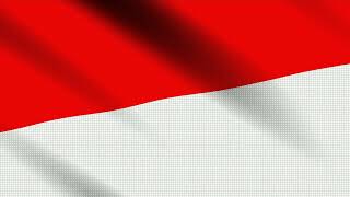 Flag of Indonesia // Indoneesia lipp