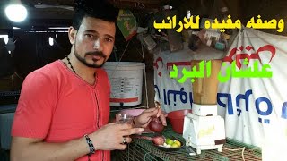 خلطه للارانب علشان البرد (ثوم+بصل+ليموم+خل)