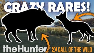 HIRSCHFELDEN Has the CRAZIEST RARES!!! - Call of the Wild screenshot 5