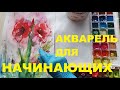 Как рисовать акварелью для начинающих от Марины Solothurn. Как нарисовать цветок  амарилис акварелью