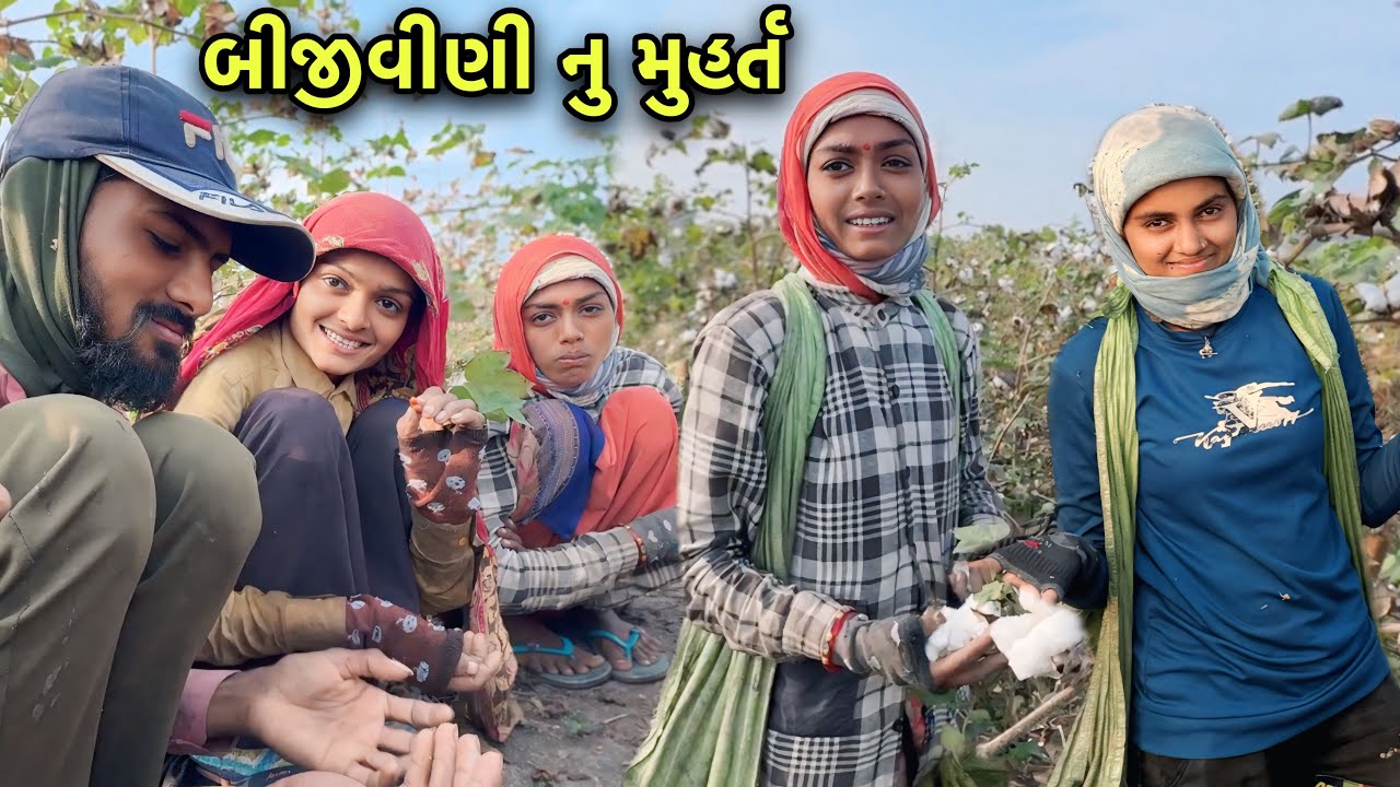 Finally બીજી વીણી નુ મુહર્ત કરી નાખ્યું 😇 | Biji Vini Nu Muhrat | New Kapas