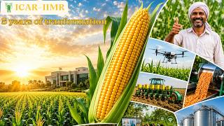 Years of Transformation | ICAR–Indian Institute of Maize Research Success Story #ICARIIMR