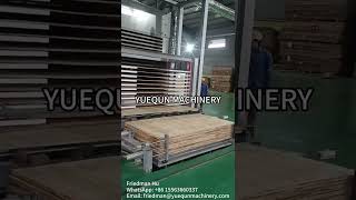 Automatic loader unloader for 20layers hot press machine. Much greatly save labor and time.