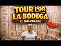 CONOCE NUESTROS PRODUCTOS CAMPEONES