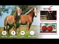 Homestory | Para-Reiterin Mara