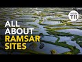 All about ramsar sites