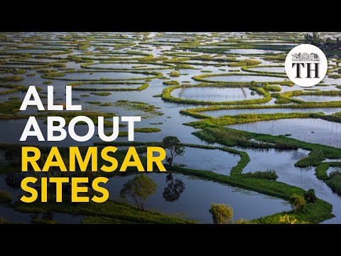 All about Ramsar
