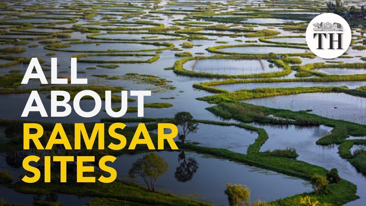 All About Ramsar Sites YouTube