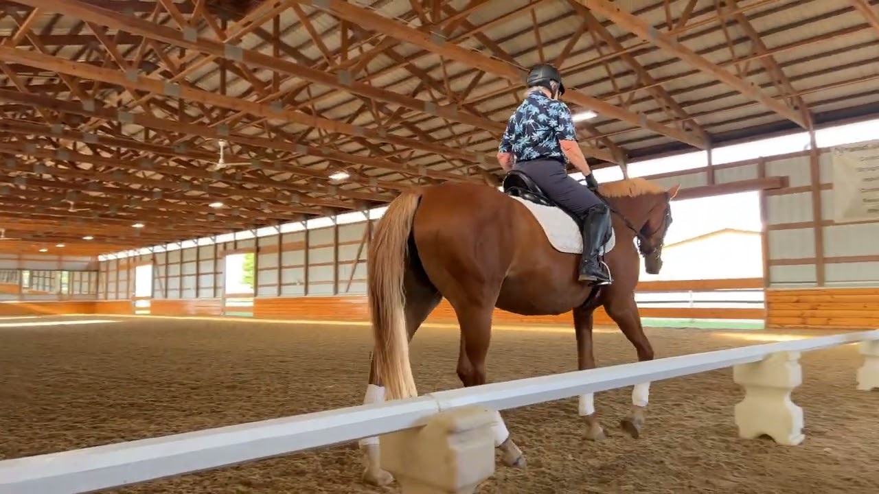 JJ Tate Clinic 8/13/23 - Peg