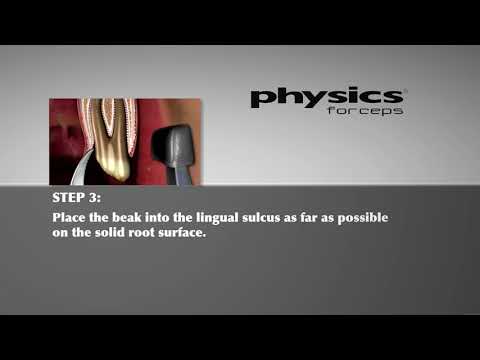 Physics Forceps Animated Instructions for Use -GoldenDent