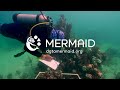MERMAID Rapid Bleaching Assessment Video