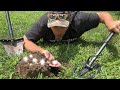 Absolute Frenzy! - Loads of Old Silver Coins Found Metal Detecting an 1840&#39;s Farmhouse