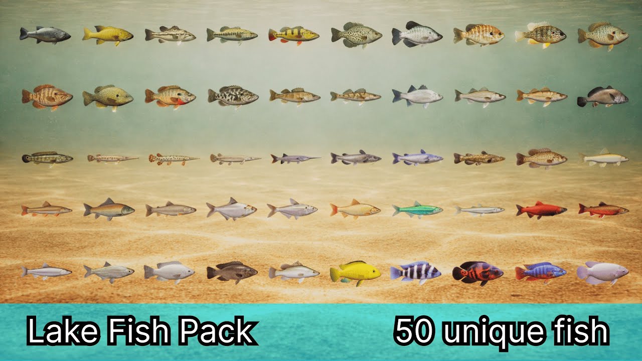Lake Fish Pack | FAB product
