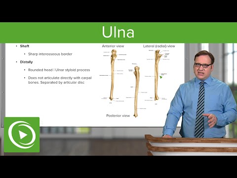 Video: Ce înseamnă osteometria din punct de vedere medical?
