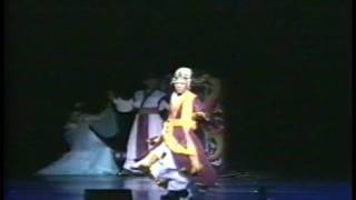 FISM2003.avi