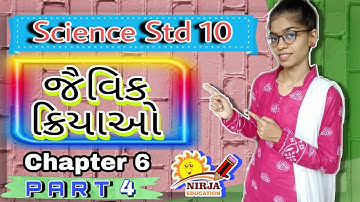 Science  STD 10  જૈવિક ક્રિયાઓ  Part 4  | Chapter  6  Dhoran 10  vigyan