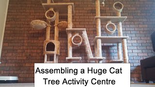 Assembling a Huge Cat Tree Activity Centre