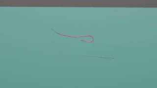 Fly Casting Simulation TRY10 2nd try at the snake roll スネークロールの改善中です