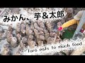 みかん、芋&太郎