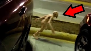 10 Cryptids Caught On Camera. Top 10 Scariest Cryptid Videos Ever Captured