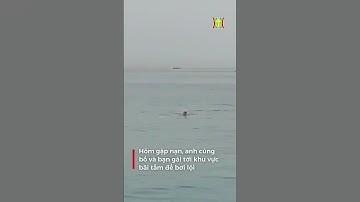 Kinh hoàng nam thanh niên 23 tuổi bị Cá Mập tấn công tử vong khi tắm biển tại Ai Cập