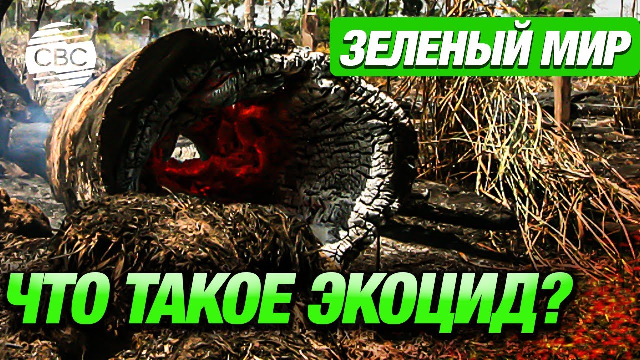 Зелёный мир – Что такое экоцид?