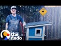 Guy builds a tiny house for a stray cat in his yard  the dodo
