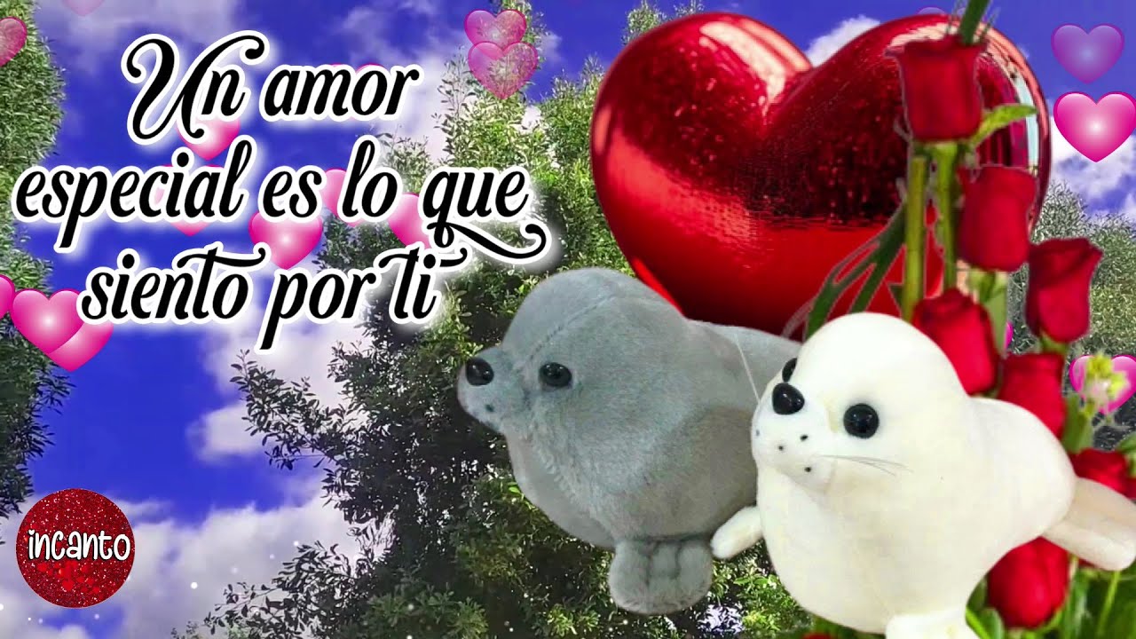 UN AMOR ESPECIAL ES LO QUE SIENTO POR TI ️Te amo mi amor 💞 VIDEOS DE ...