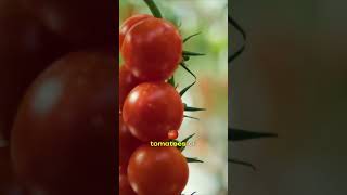 Why the environment you grow in matters—Dr. Kaci breaks down the biology of life.