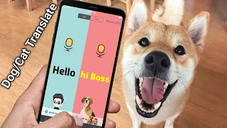 Dog Translator App 🐶  | Cat Translator App 🐱 | Apps That Can "Translate Animal Sounds [Hindi] screenshot 5