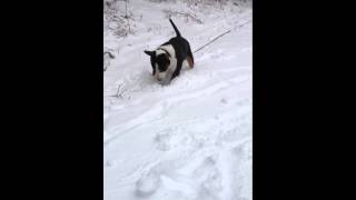 George In The Snow 3