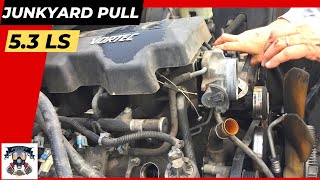 Detailed How To Pull a Junkyard LS 5.3 and Perform a "Razor Blade Rebuild" - TBH Episode 2 Details