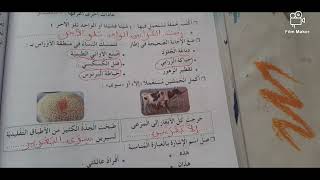 حل كراس الانشطة لغة عربية ص74 اقيم تعلماتي للسنة الثالثة ابتدائي