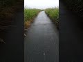 あさみちゆき【梅雨のあとさき】