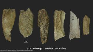 Nuevos datos sobre la subsistencia paleolítica eb Cova Eirós con un método basado en el colágeno