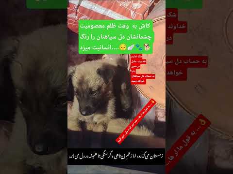 کارما ظلم بی پناه حمایت هیچ دینی بالا تر از انسانیت نیست کلبه ی کوچک ما