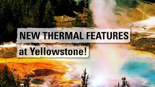 Yellowstone Volcano Update — July 2023 — NEW THERMAL FEATURES at Yellowstone!