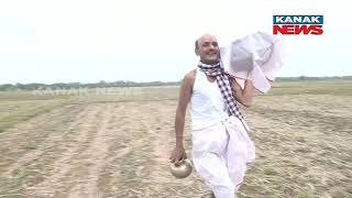 Akshaya Tritiya Today, Farmers To Perform Traditional 'Akhi Muthi Anukula' Ritual