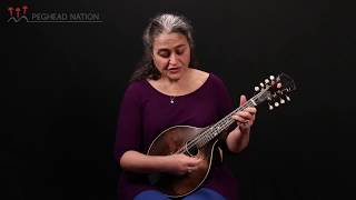 Introduction to Reels, from Irish Mandolin with Marla Fibish chords