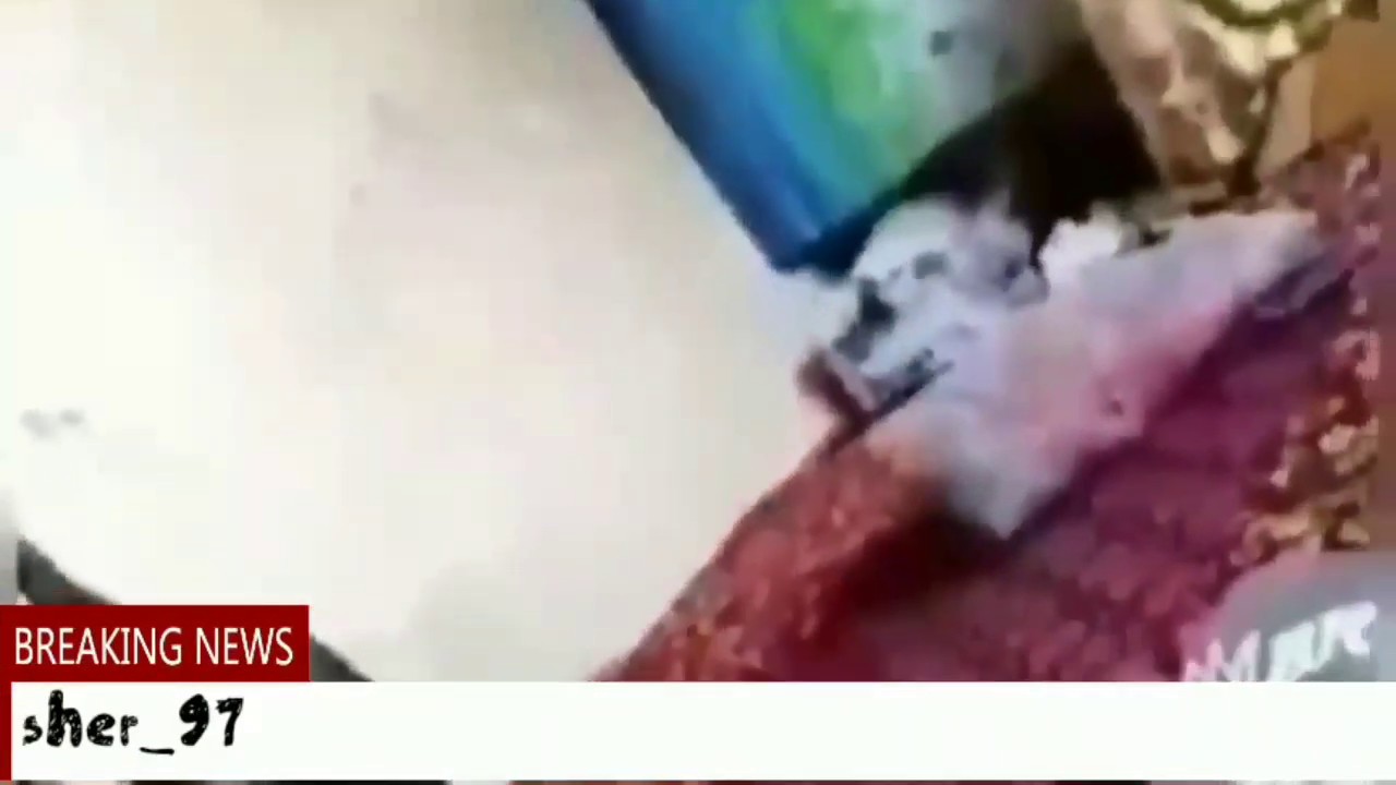 Yashirin uyani qanday oynash mumkinligi haqida dokon vulqon deluxe uyasi mashinalari bepul oynashlari mumkin