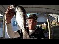 I Caught A Tagged Crappie! - Crappie Fishing From The Bank