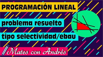 Programación Lineal (problema resuelto tipo selectividad ebau 01)