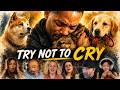 Everyone Lost It Watching These Movie Scenes 😭|Top Movie Reactions!!!